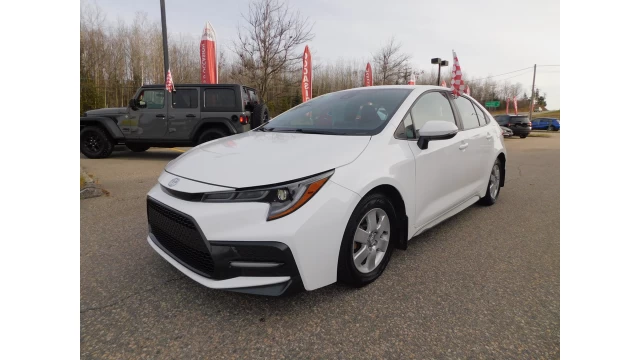 Toyota Corolla SE/XSE 2020