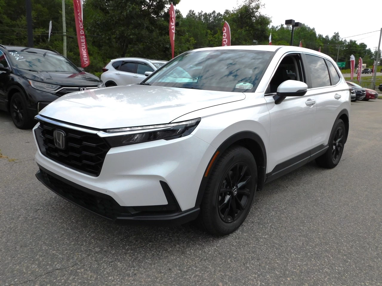 2023 Honda CR-V EX-L Main Image